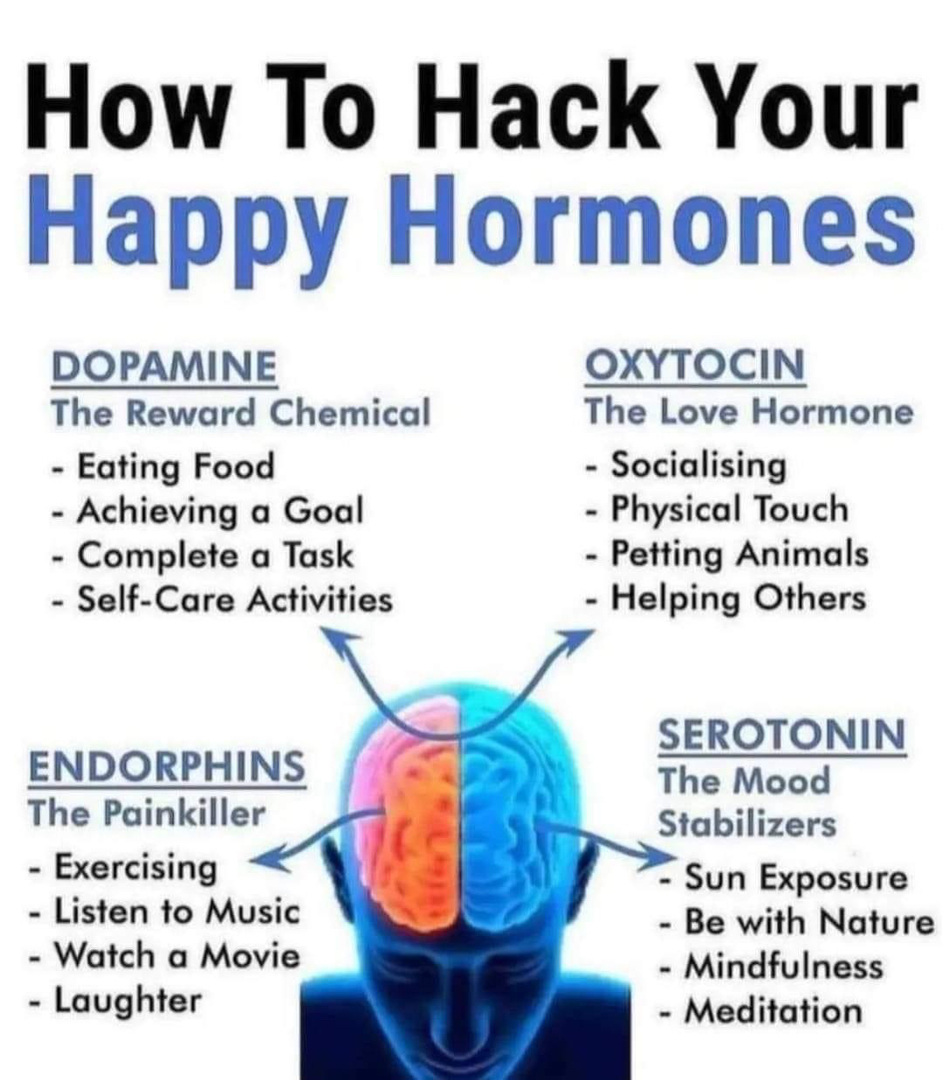 Realigning Your Health Image