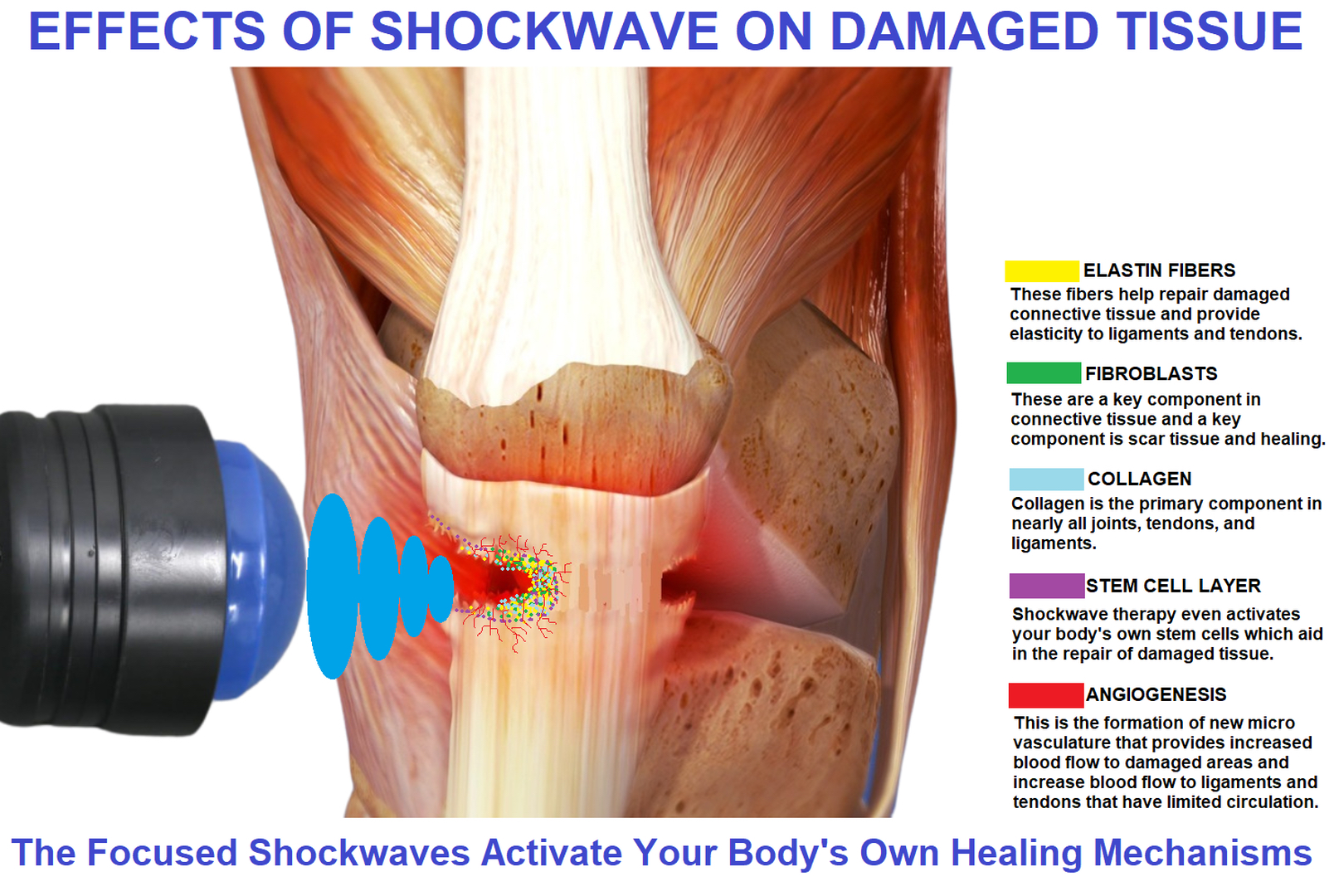 Realigning Your Health Image