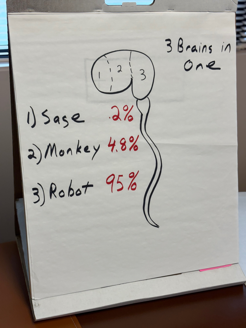 Realigning Your Health Image