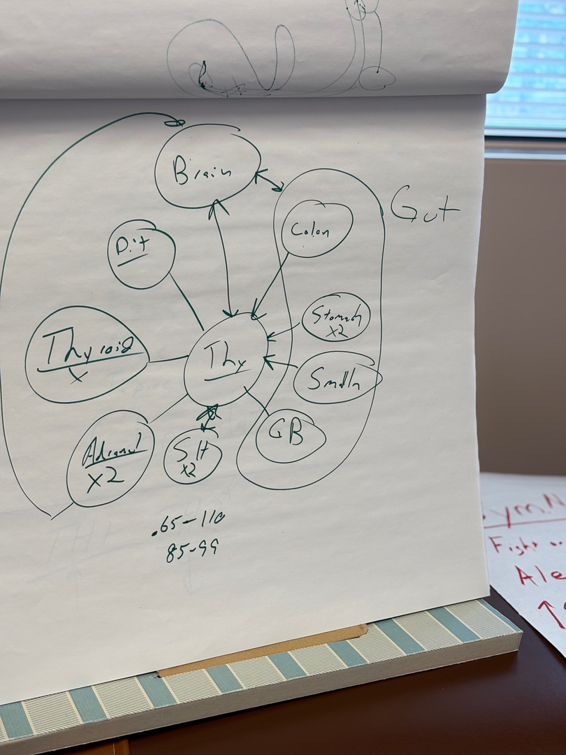 Realigning Your Health Image