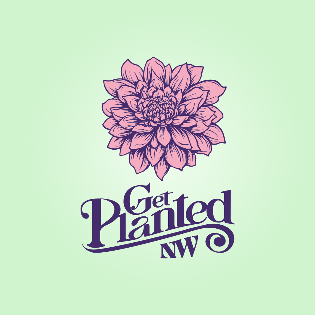 Fairhaven Web Design Logo