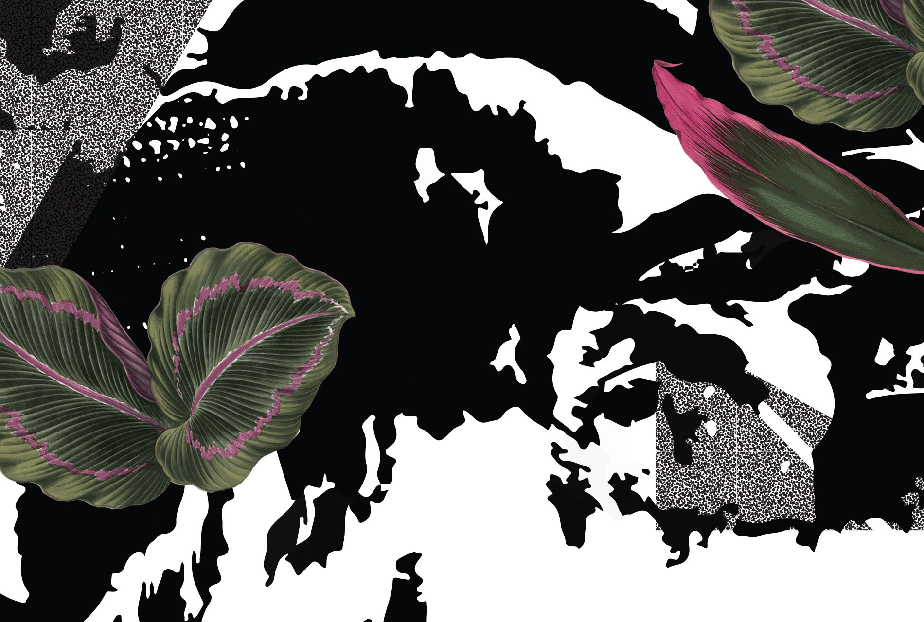 Fairhaven Web Design Image