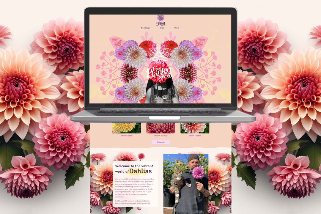 Fairhaven Web Design Image