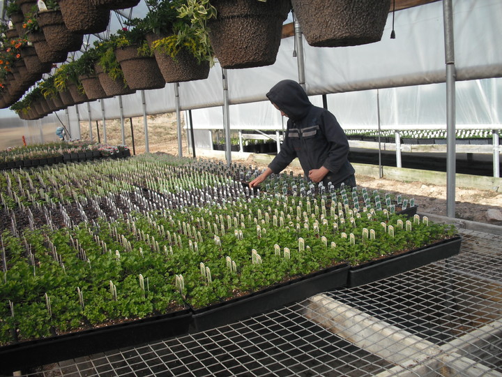 Frenchtown Greenhouse LLC Image