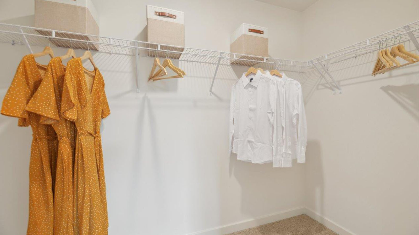 Pinegrove Townhomes by D.R. Horton Image