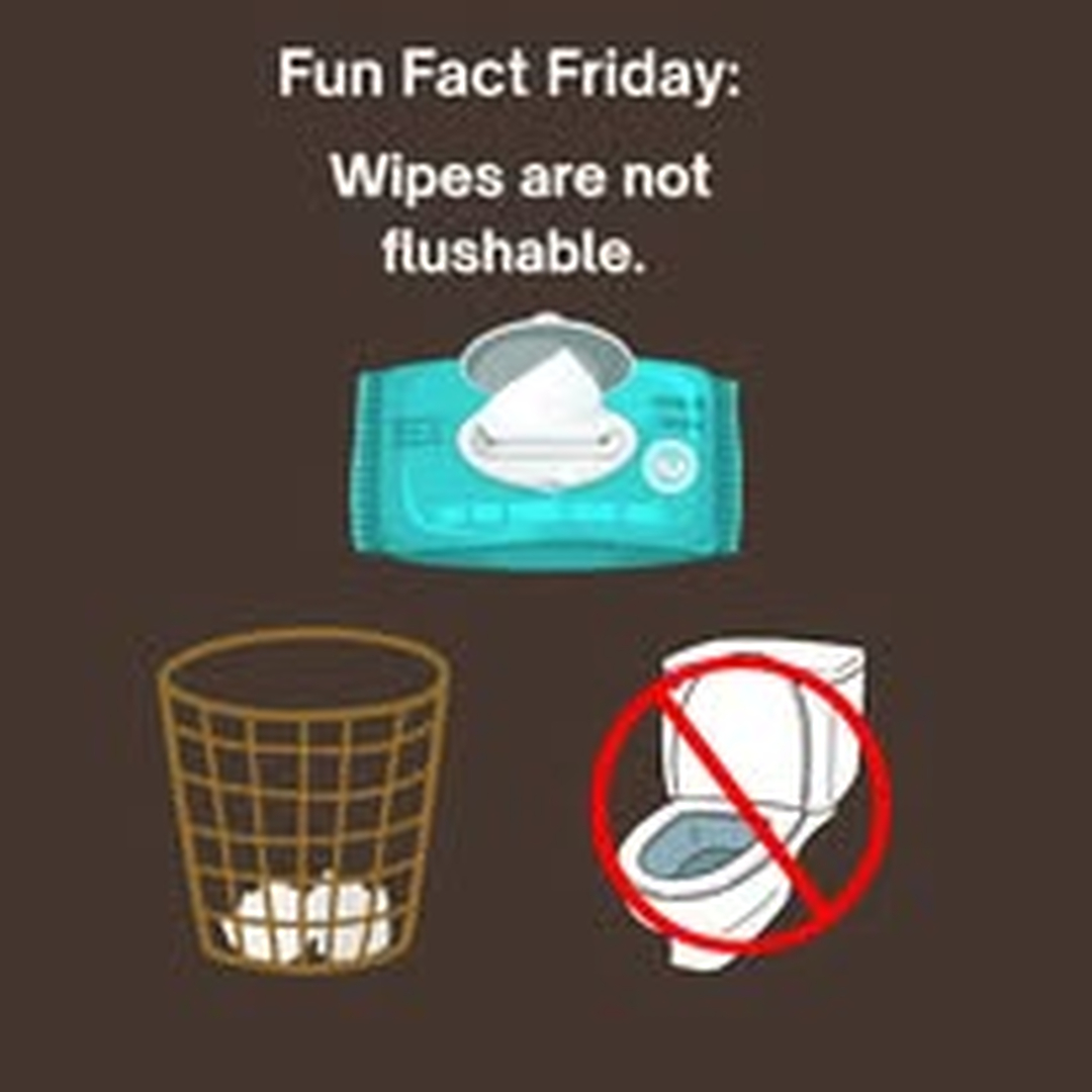 Busy D Pumping Image