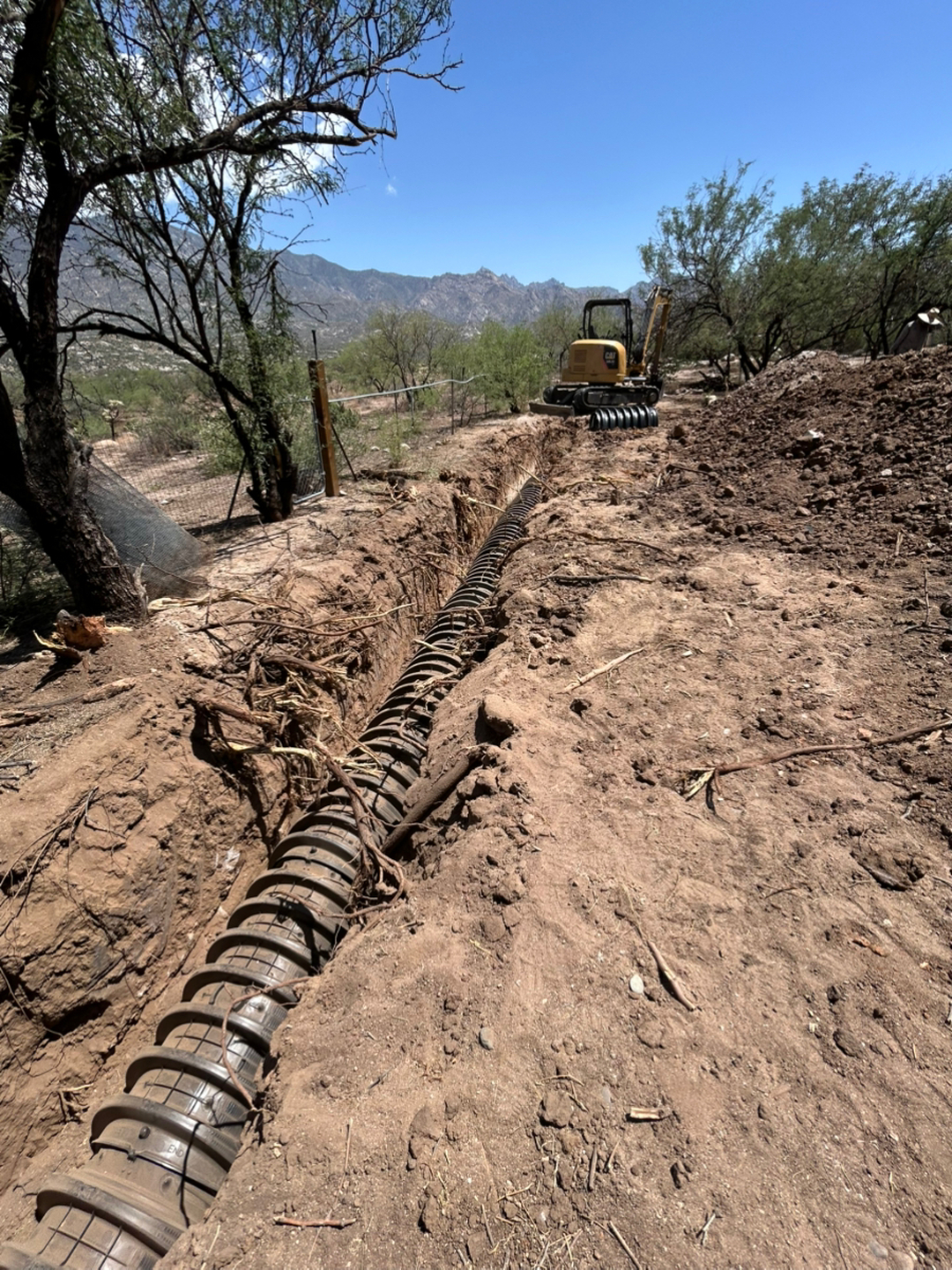 Busy D Pumping Image