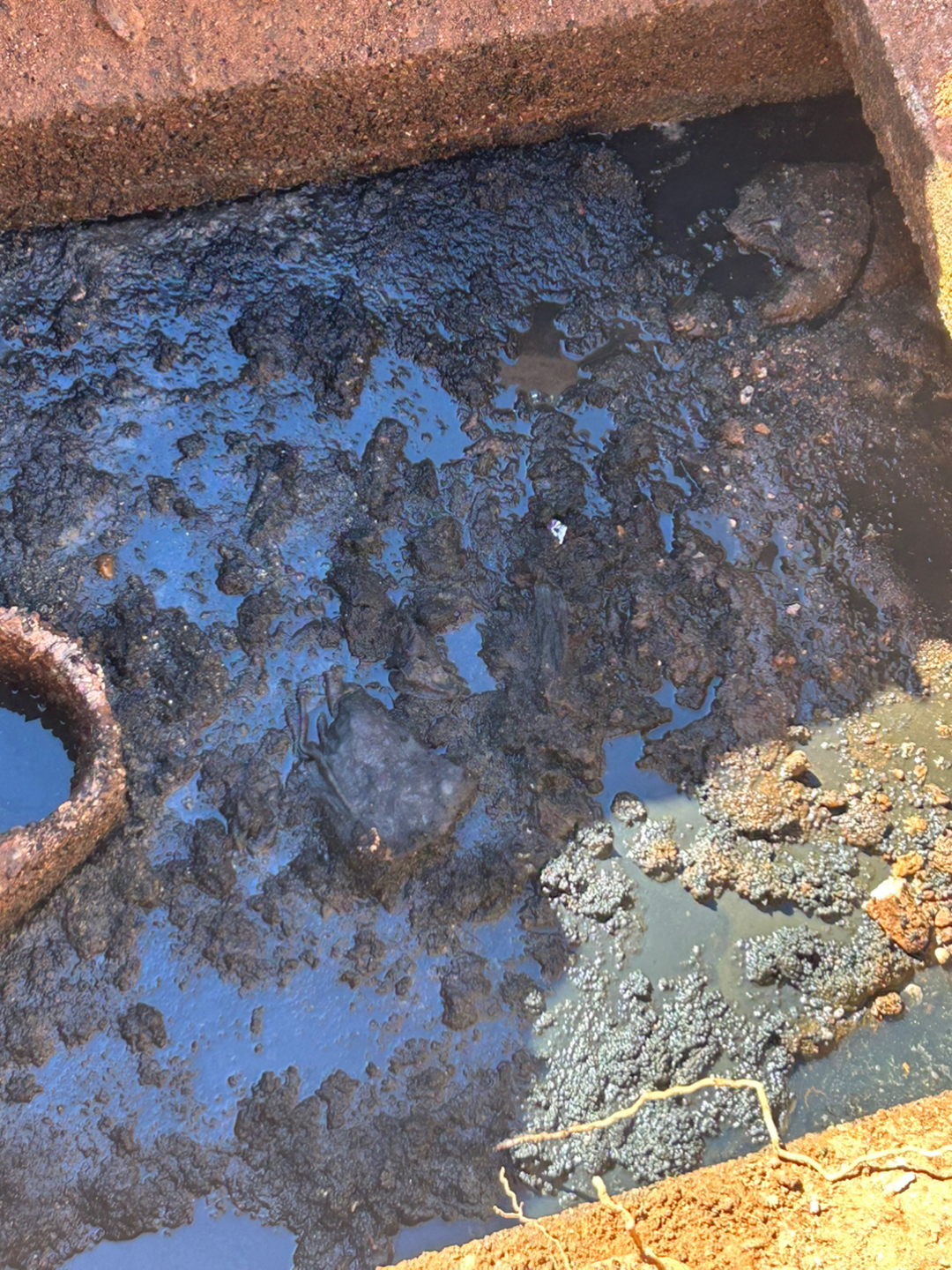 Busy D Pumping Image