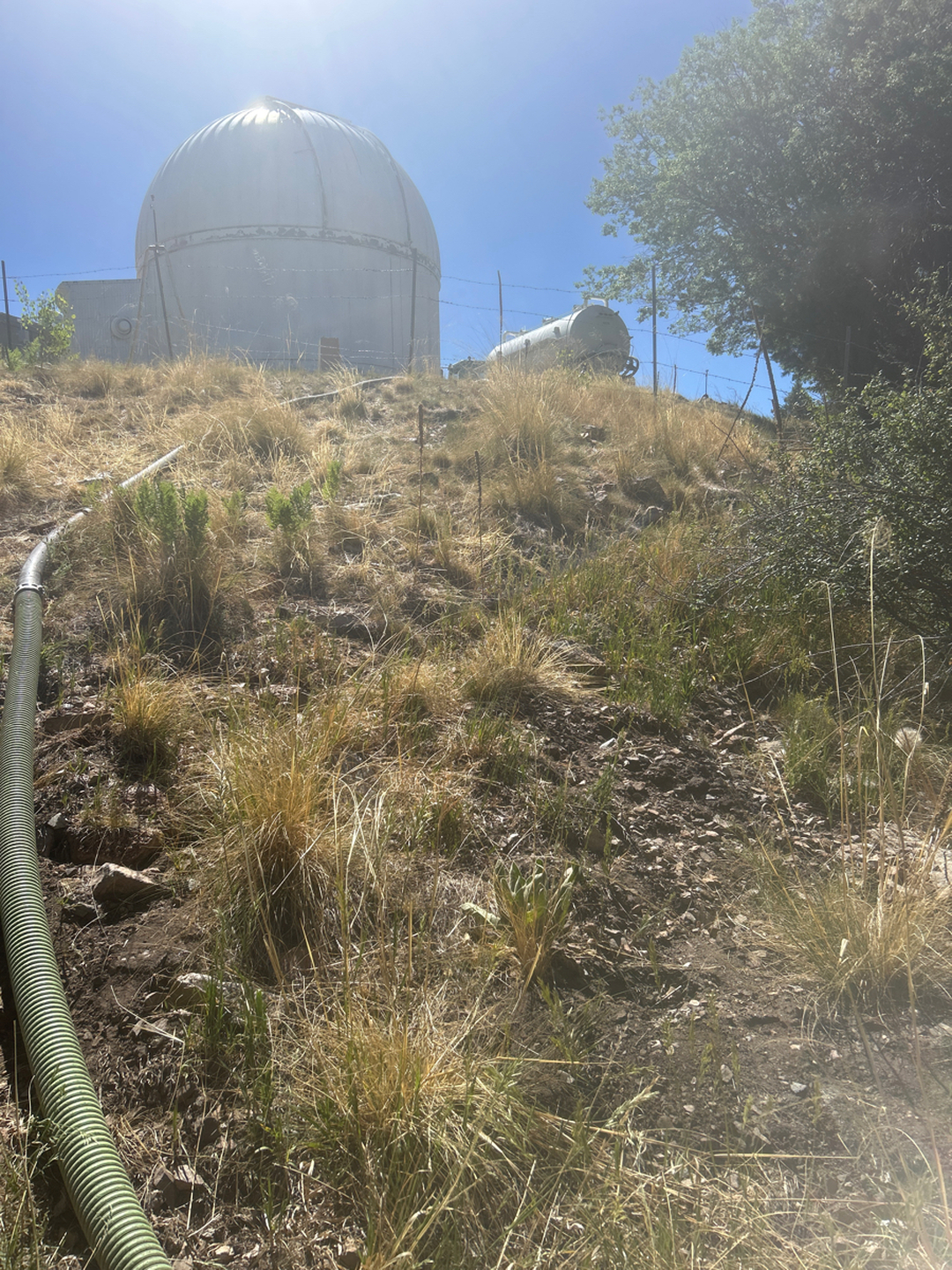 Busy D Pumping Image