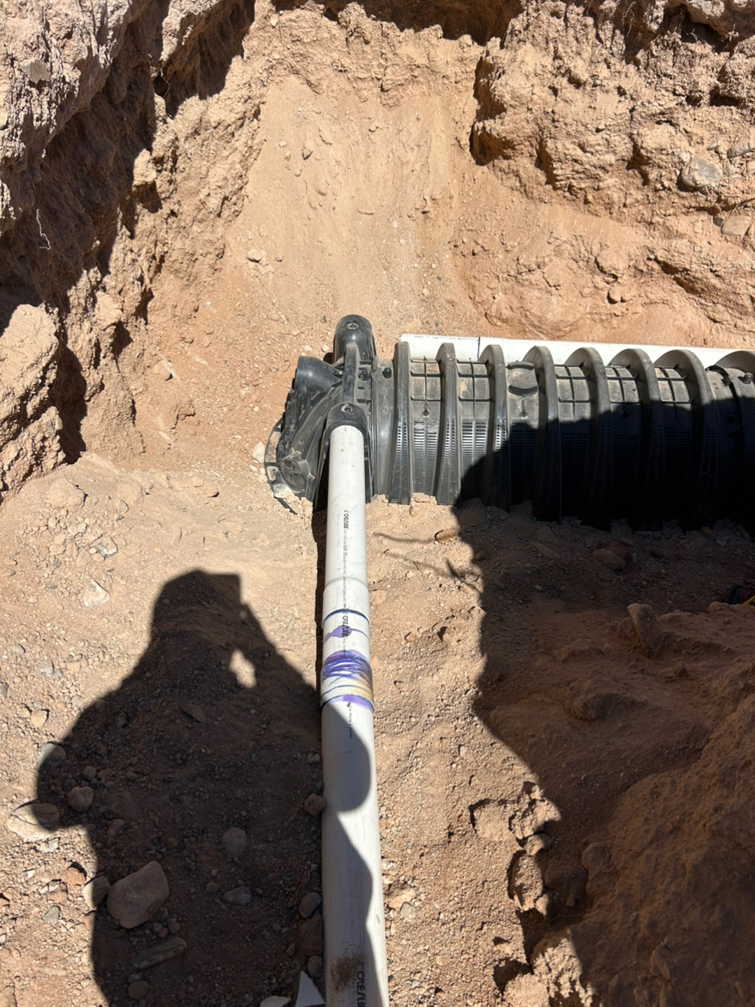 Busy D Pumping Image