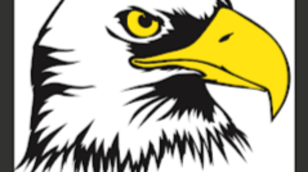 American Eagle Professional Services, Inc of Maryland Logo