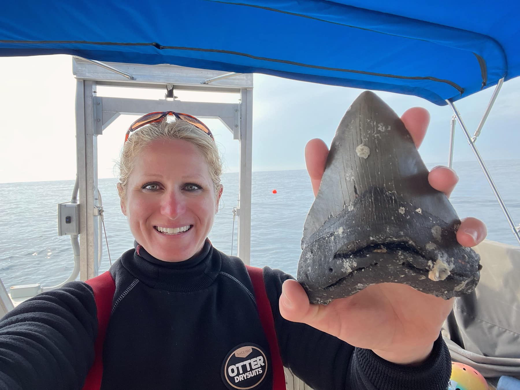 Megalodon Tooth Huntress Image