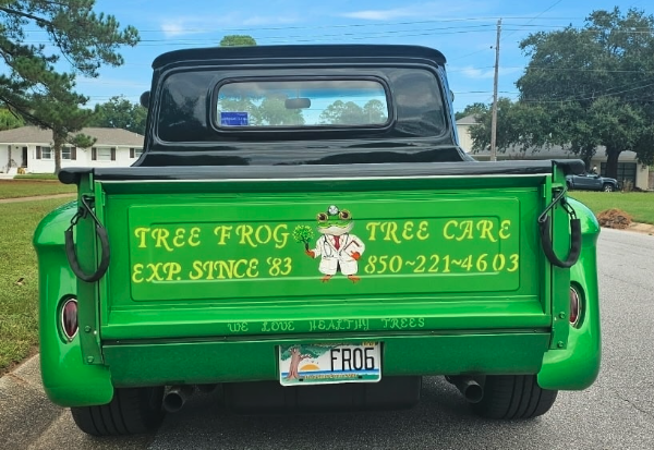 Tree Frog Tree Care - Gulf Breeze, FL