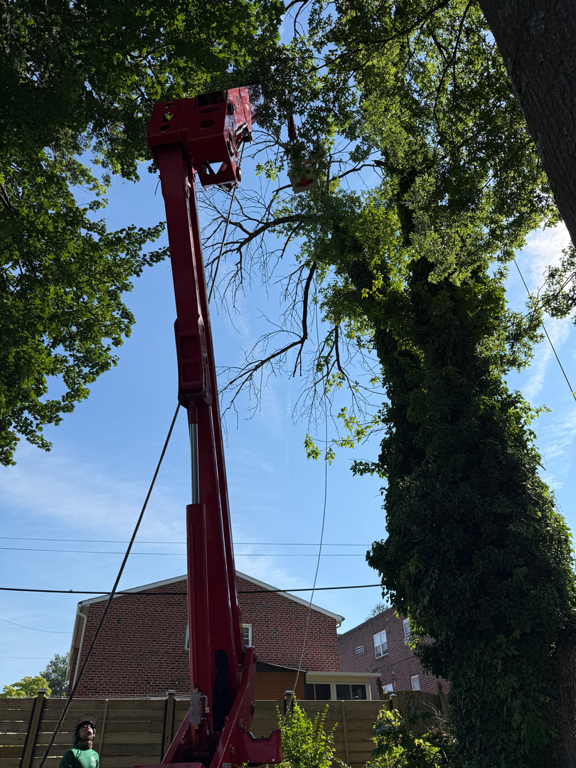PA Triple A Tree Service - Bensalem, PA
