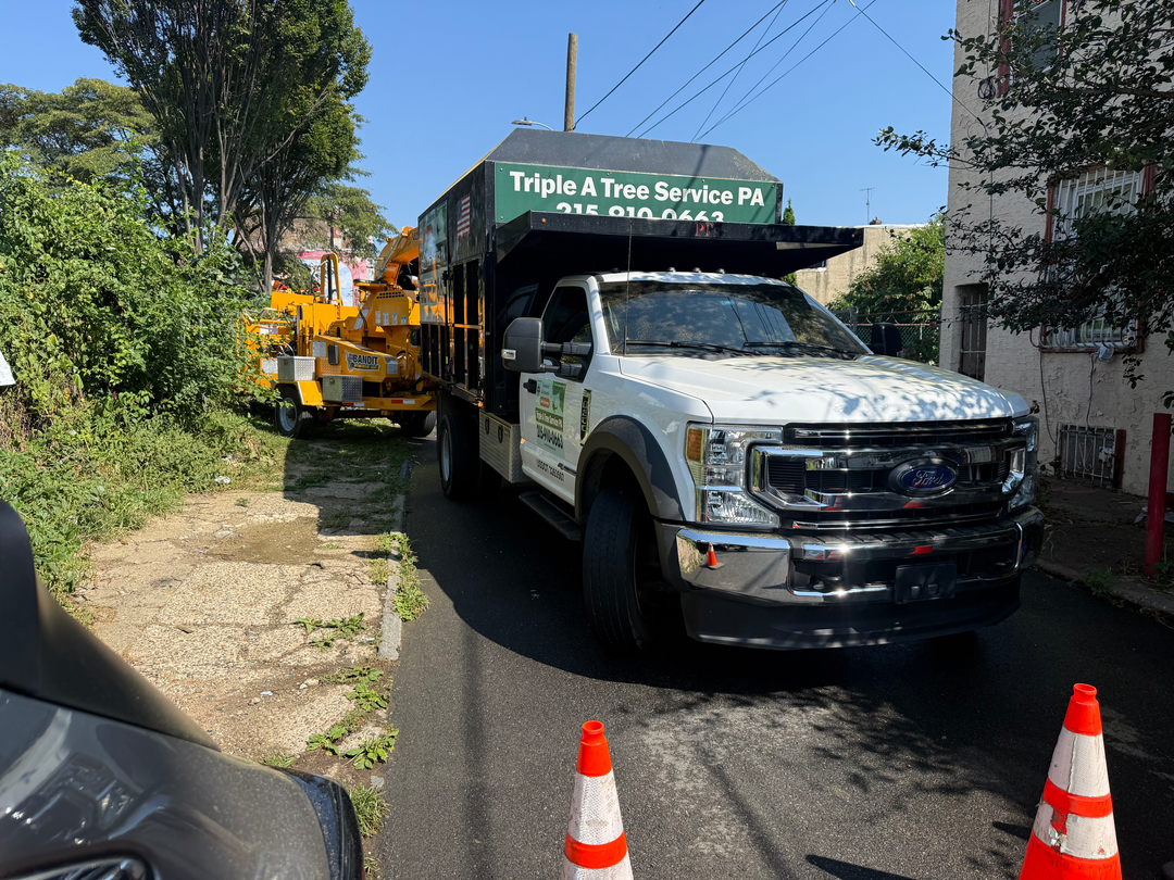 PA Triple A Tree Service - Bensalem, PA