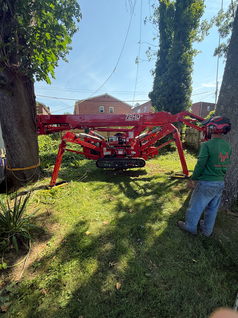 PA Triple A Tree Service - Bensalem, PA