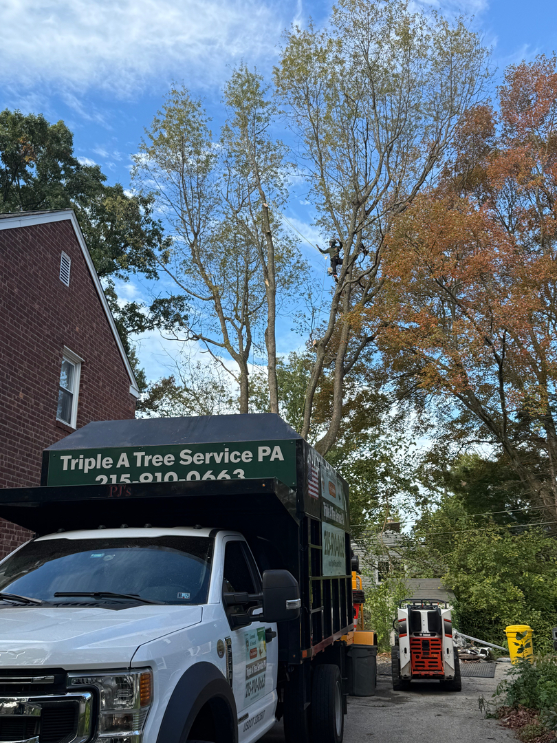 PA Triple A Tree Service - Bensalem, PA