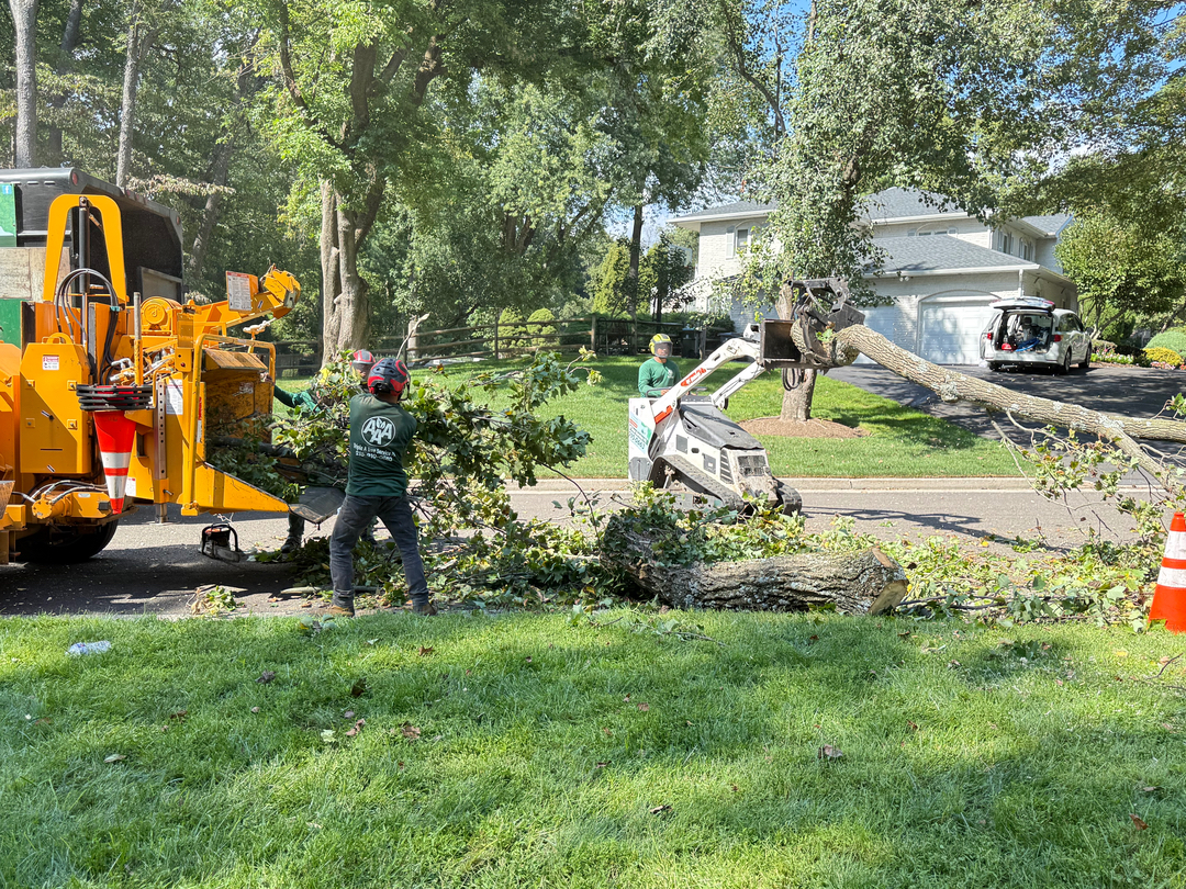 PA Triple A Tree Service - Bensalem, PA