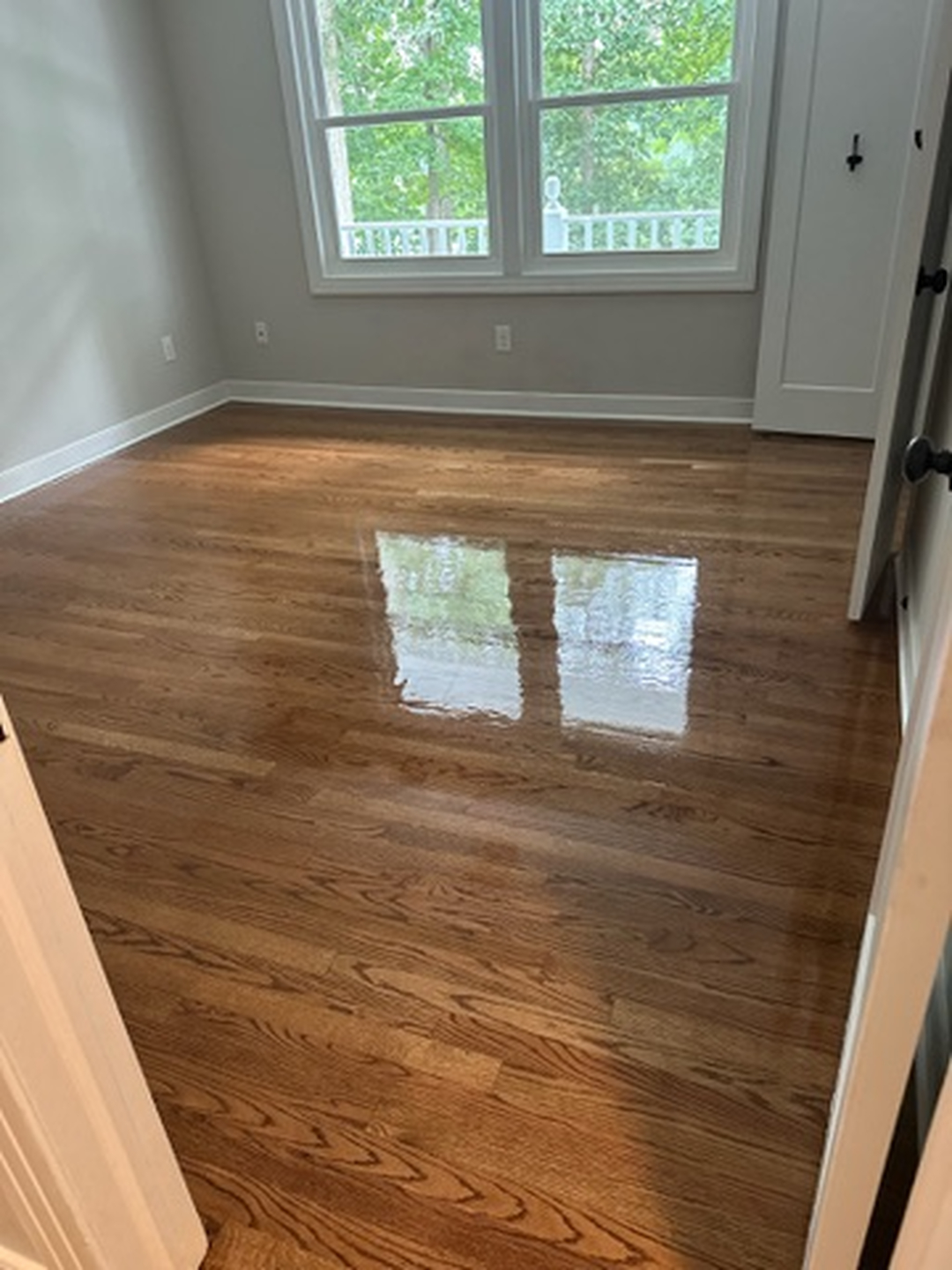 Buff & Coat Hardwood Floor Refinishing Image