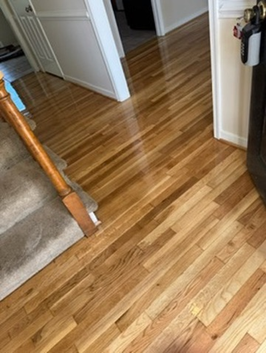 Buff & Coat Hardwood Floor Refinishing Image