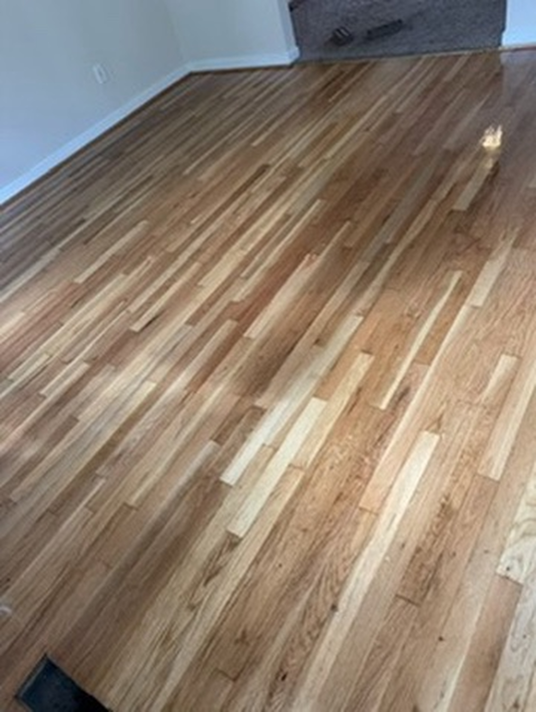 Buff & Coat Hardwood Floor Refinishing Image