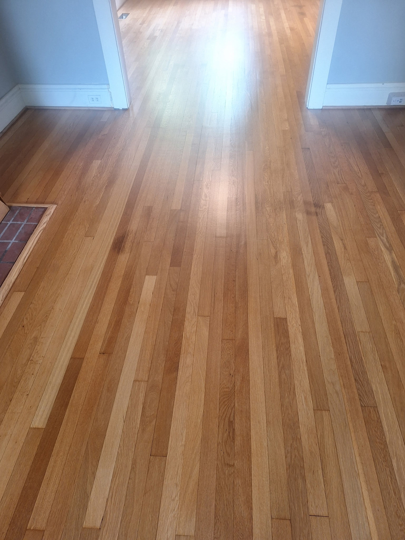 Buff & Coat Hardwood Floor Refinishing Image
