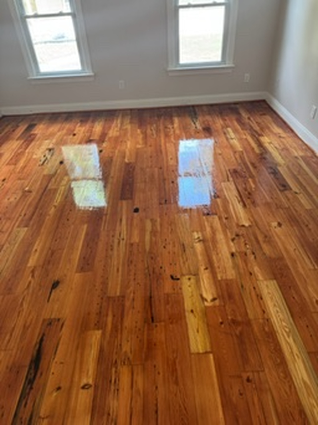 Buff & Coat Hardwood Floor Refinishing Image
