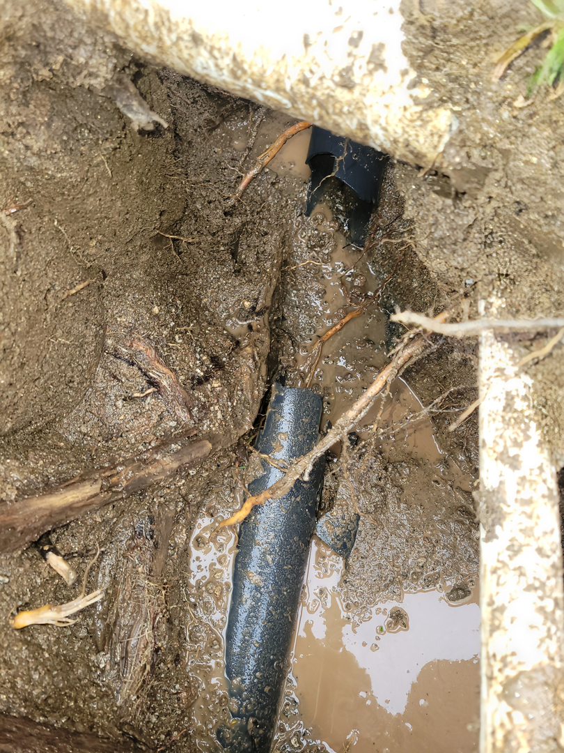 Professional Plumbing IE Inc Image