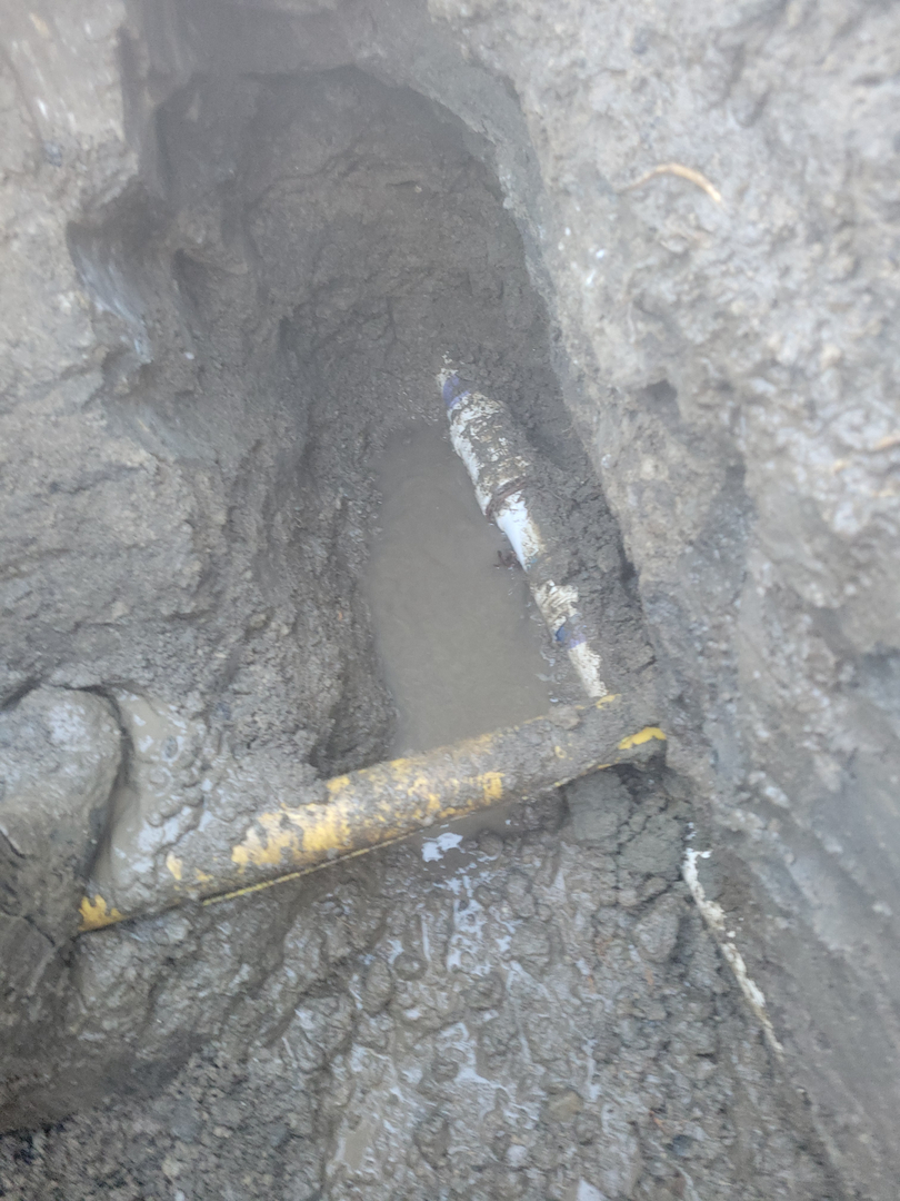 Professional Plumbing IE Inc Image