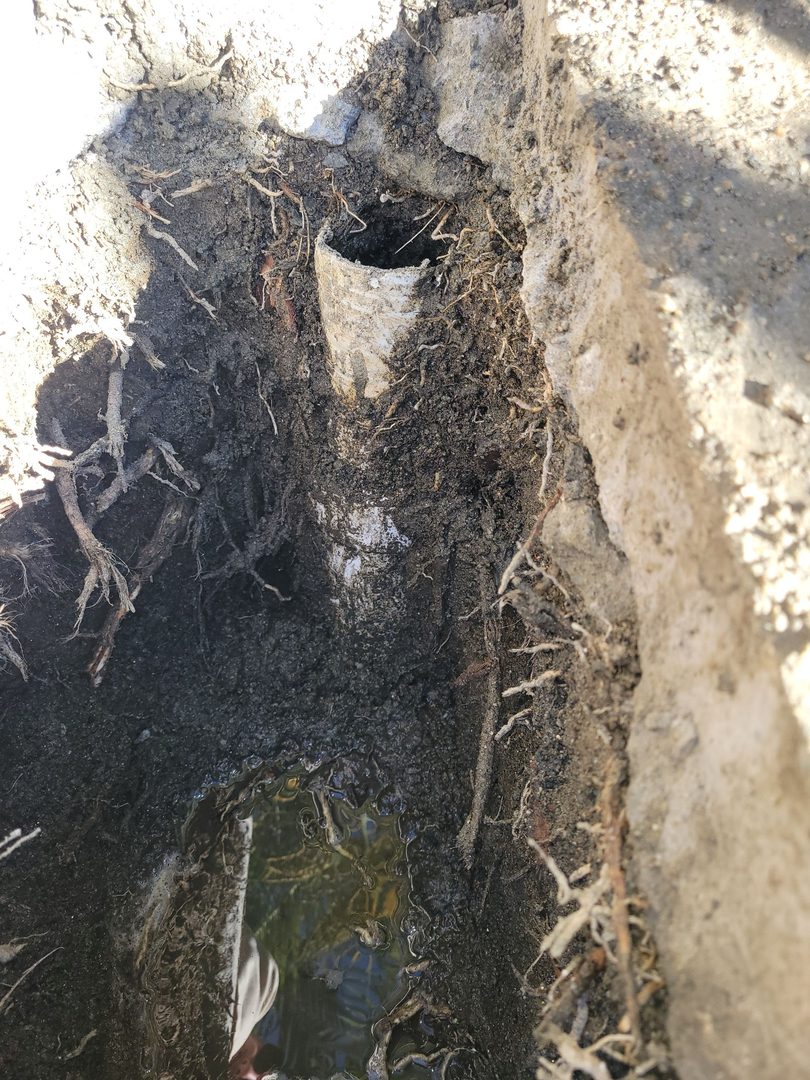 Professional Plumbing IE Inc Image