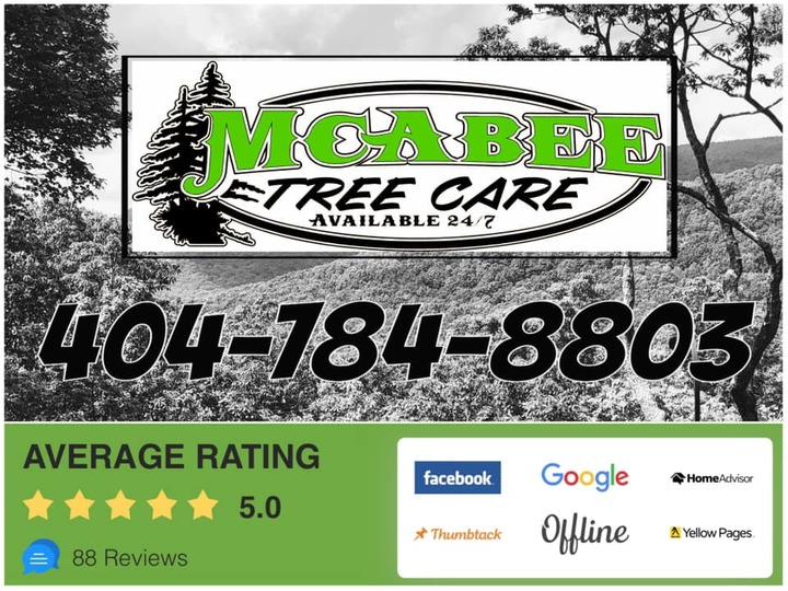McAbee Tree Care - Ball Ground, GA
