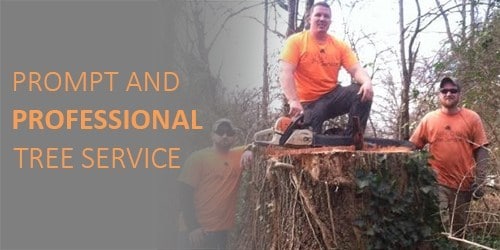 Hancock Tree Service - Knoxville, TN