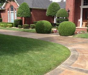 Calderon Landscaping, LLC Image