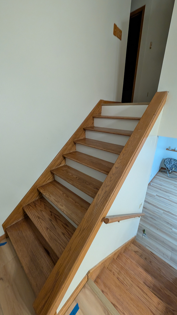 My Craftsman Black Hills Image