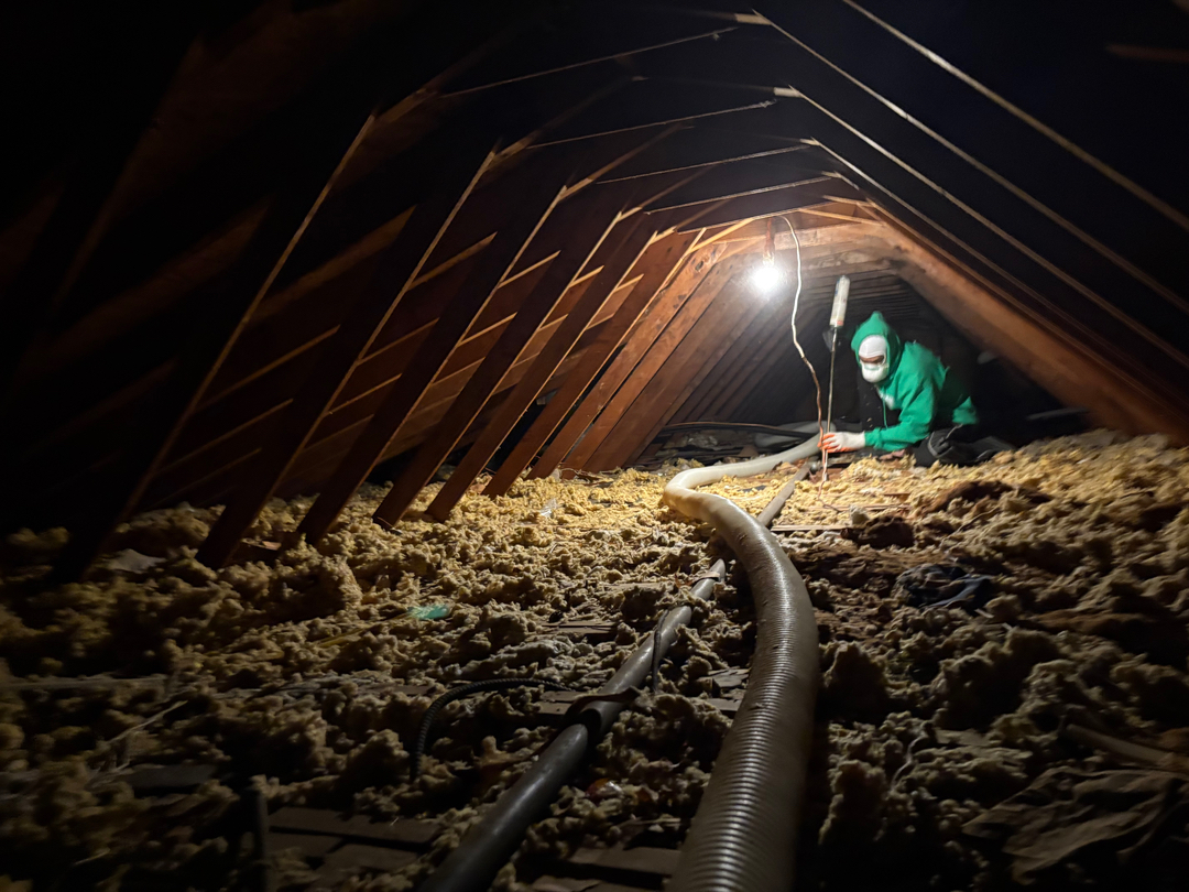 Qute Insulation Image