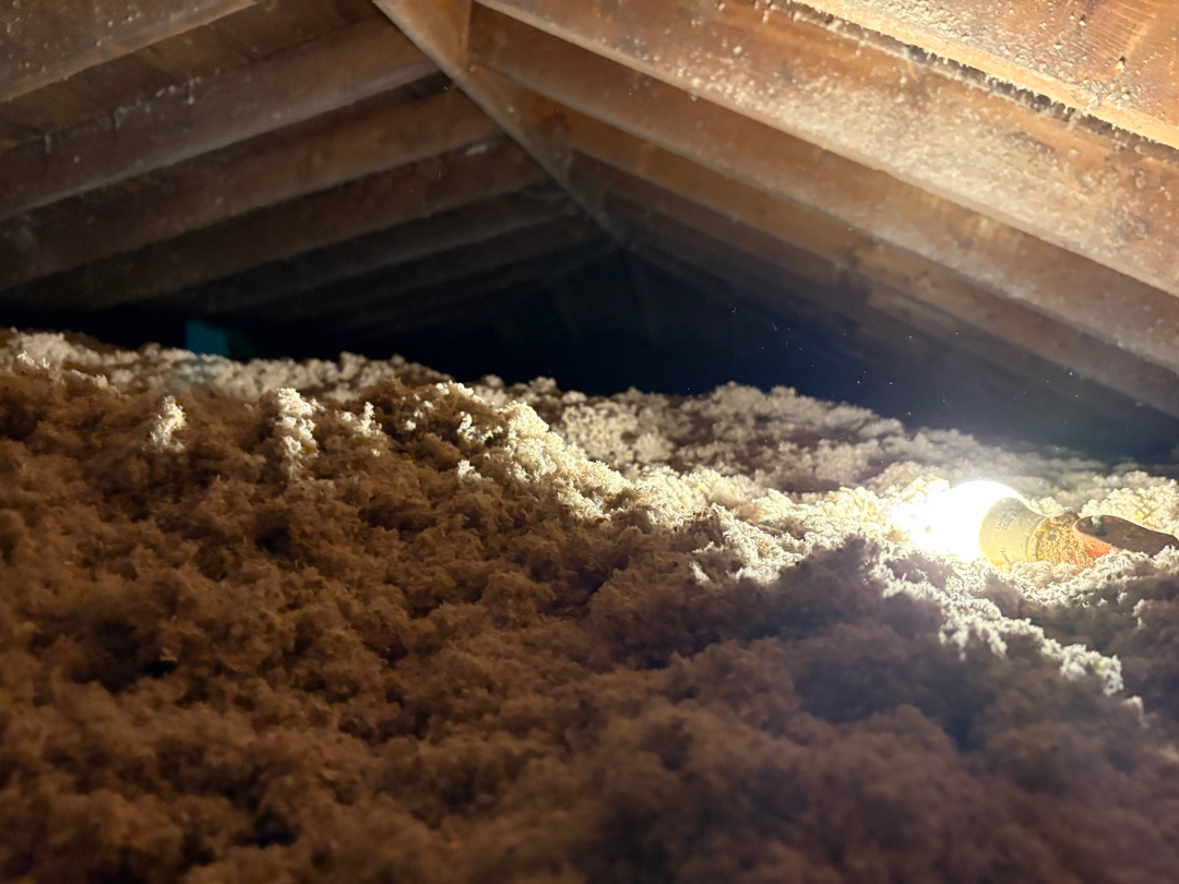Qute Insulation Image