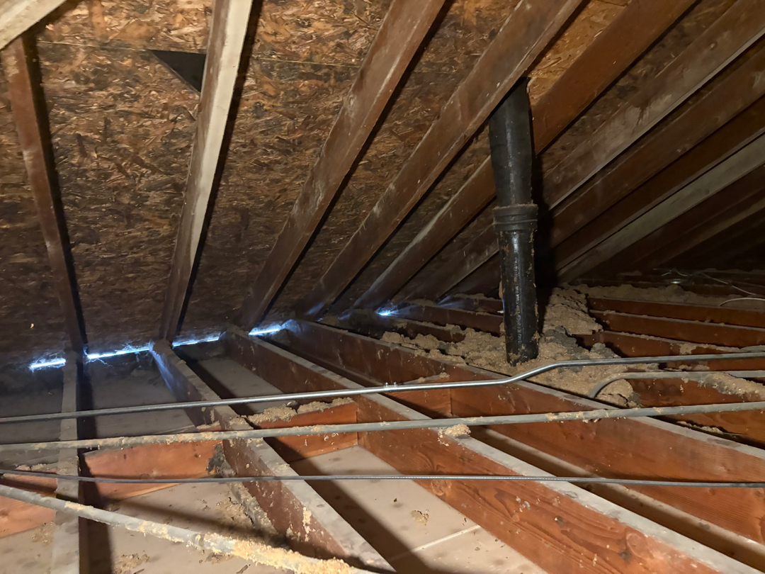 Qute Insulation Image