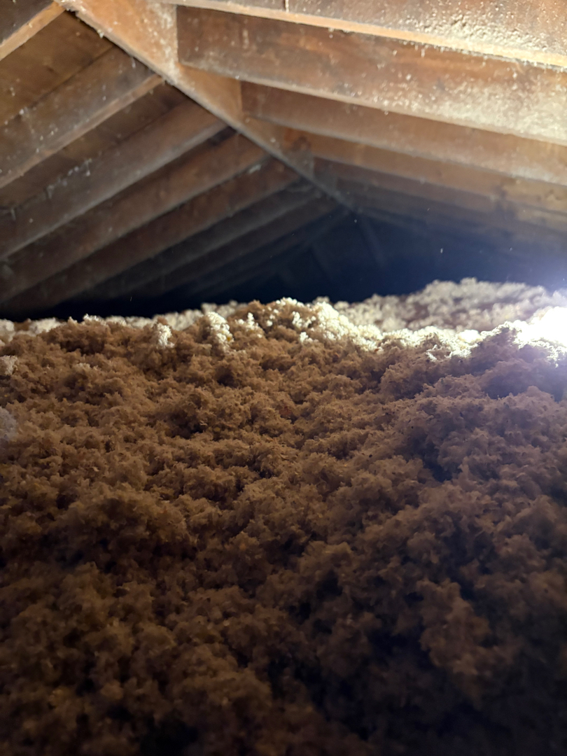 Qute Insulation Image