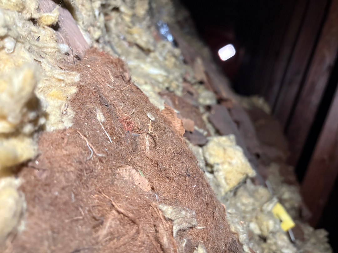 Qute Insulation Image