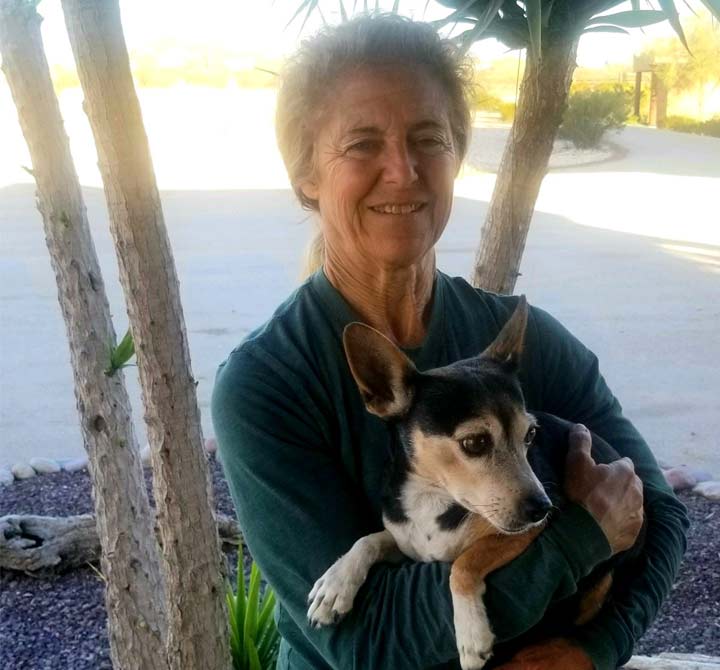 Angel Veterinary Services At Home Pet Euthanasia Veterinarian