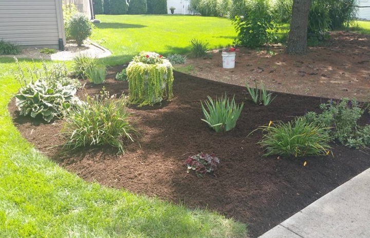 Hawcreek Landscaping Image