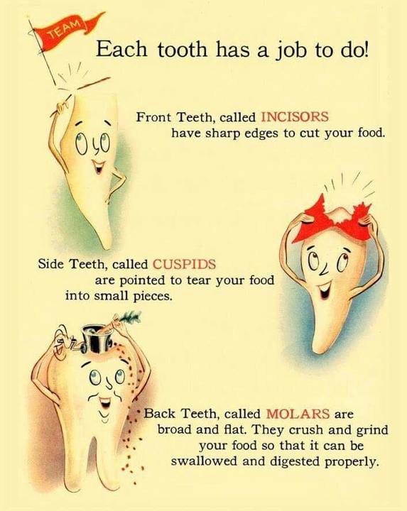 Sullivan Dental Clinic Image