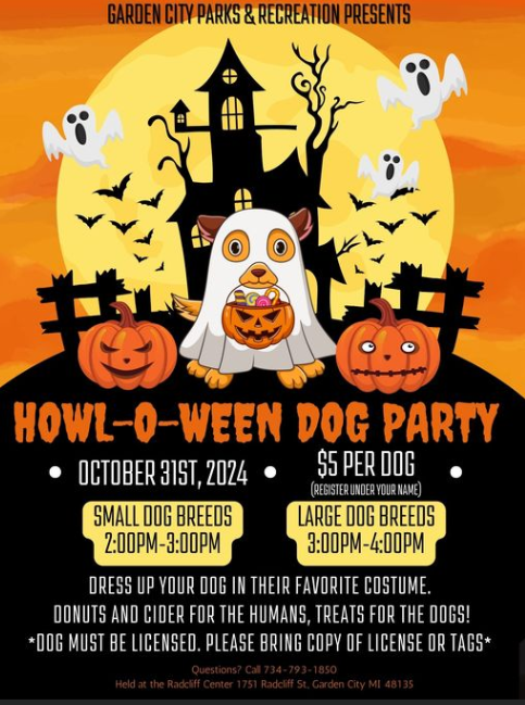 The Carpet Cleaner LLC Image