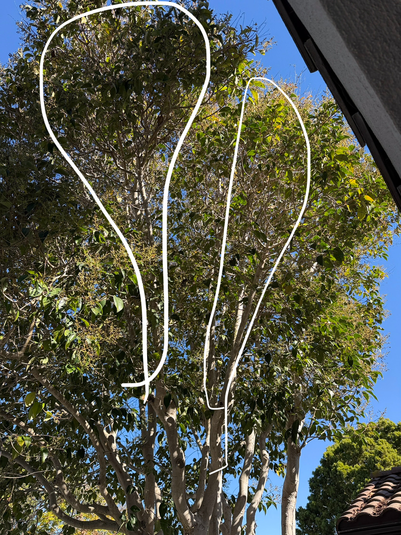 Higuera Tree Care - Chula Vista, CA