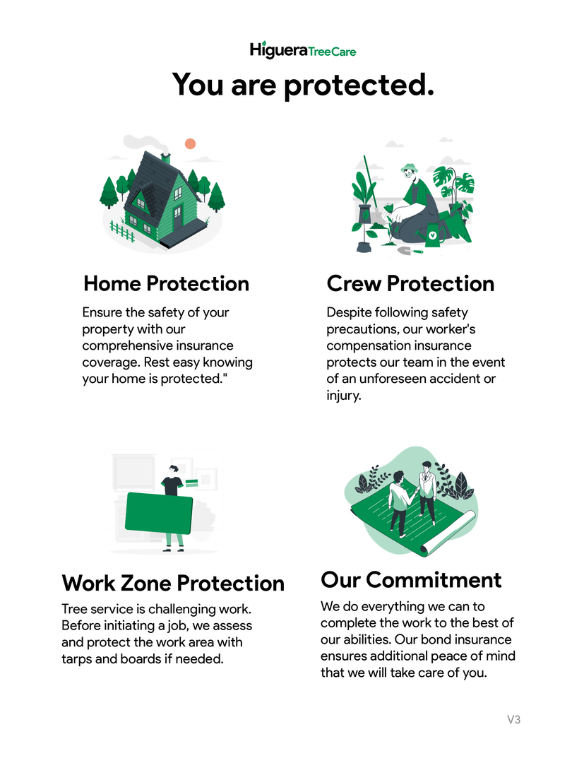 Higuera Tree Care Image