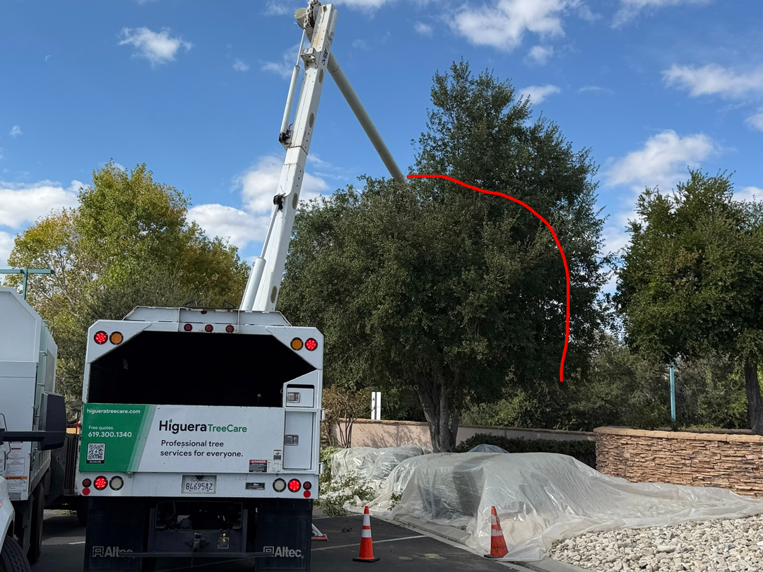 Higuera Tree Care - Chula Vista, CA