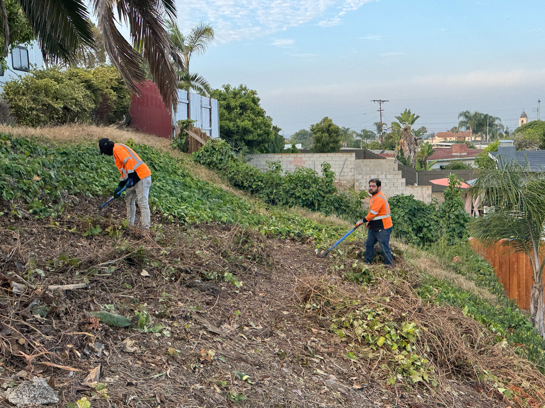 Higuera Tree Care - Chula Vista, CA