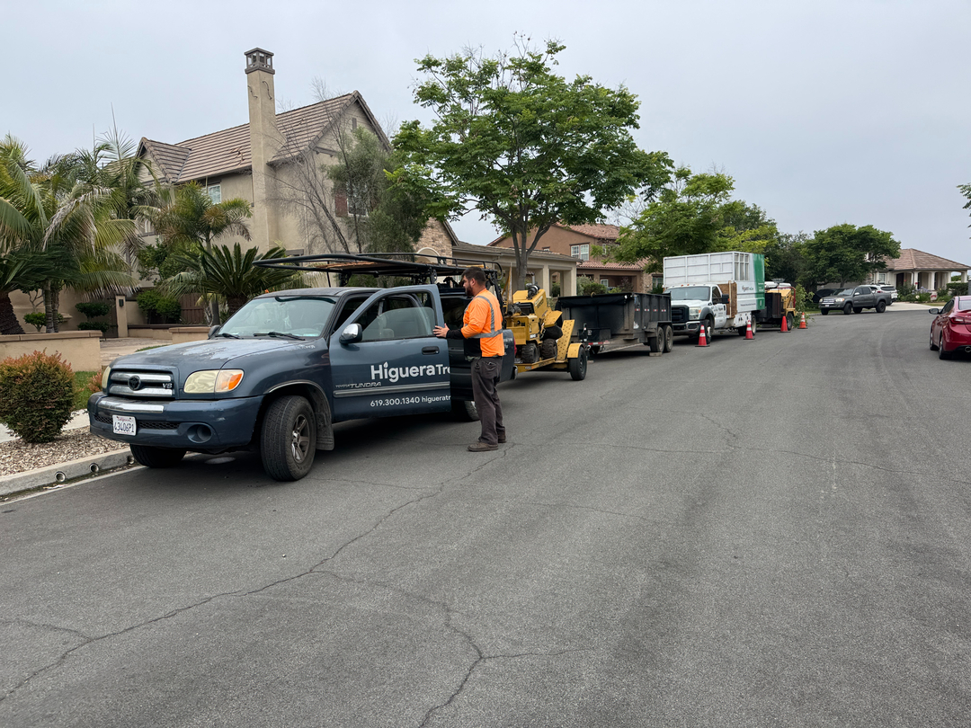Higuera Tree Care - Chula Vista, CA