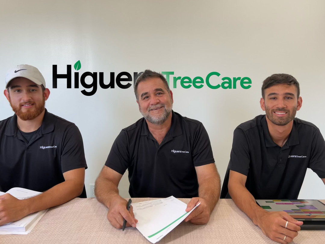 Higuera Tree Care - Chula Vista, CA