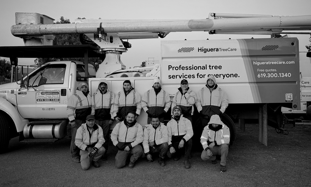 Higuera Tree Care - Chula Vista, CA